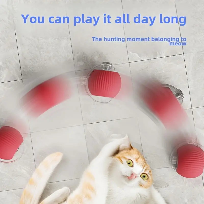 Bark & Buff™ Automatic Rolling Pet Ball