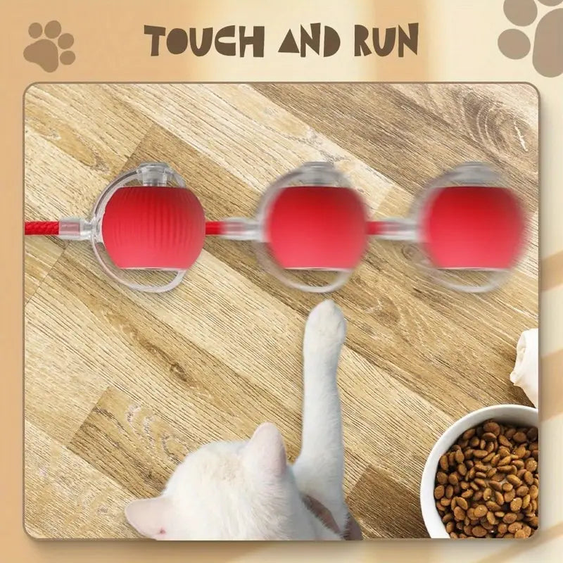 Bark & Buff™ Automatic Rolling Pet Ball