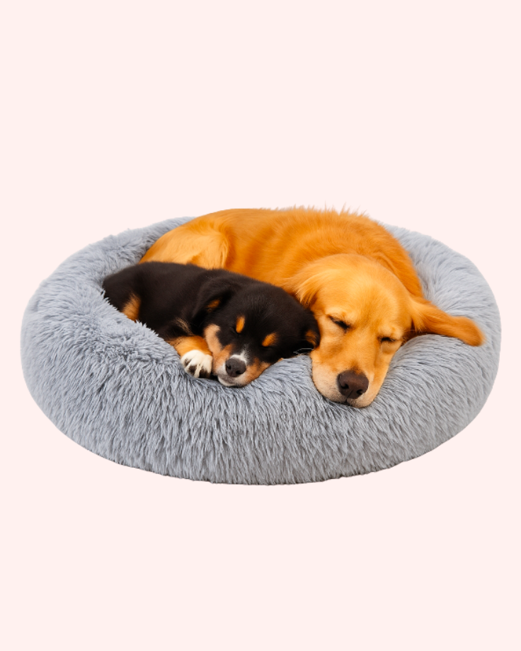 Bark & Buff™ Dream Cloud Calming Pet Bed