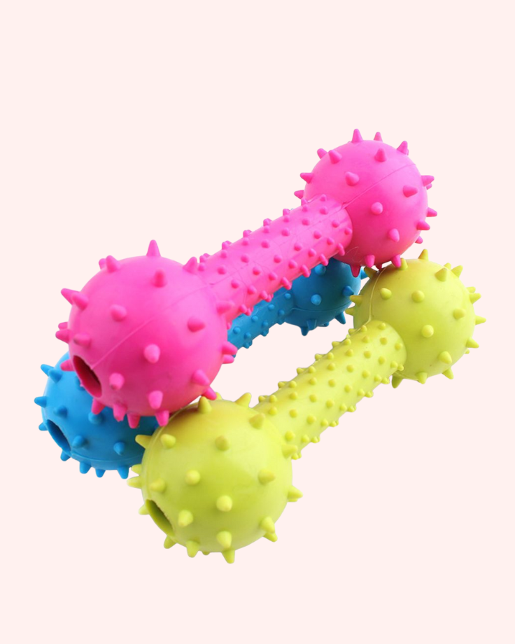 Bark & Buff™ Spiky Chew Dumbbells