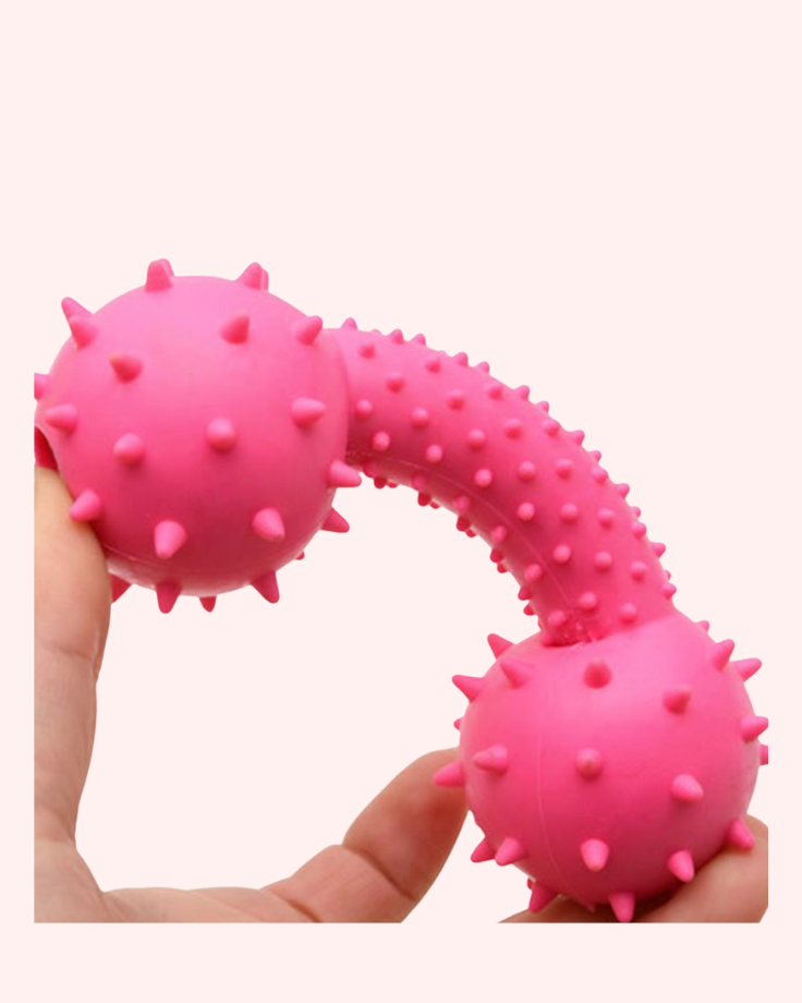 Bark & Buff™ Spiky Chew Dumbbells