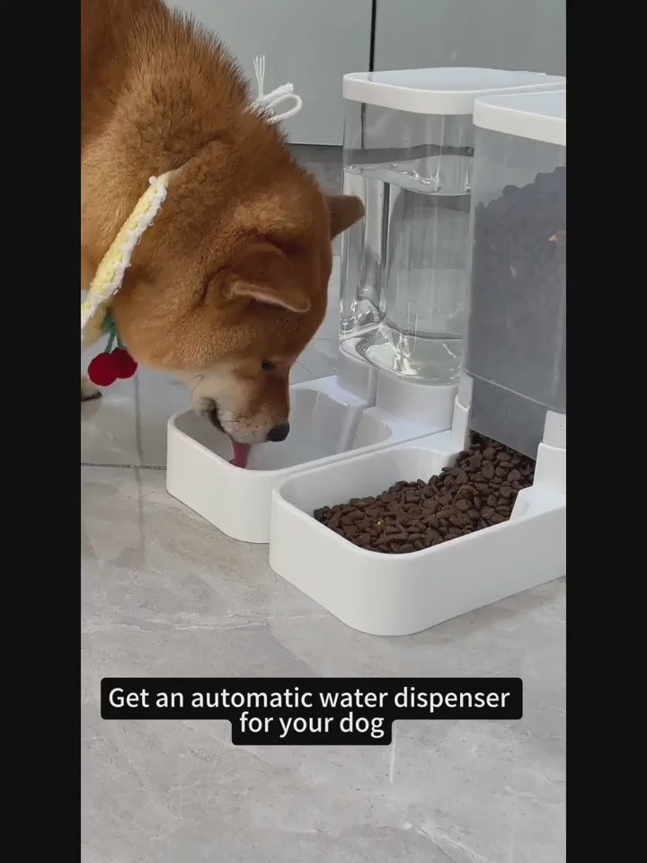 Bark & Buff™ Pet Food & Water Dispencer