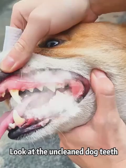 Bark & Buff™ Pet Cleaning Finger Wipes